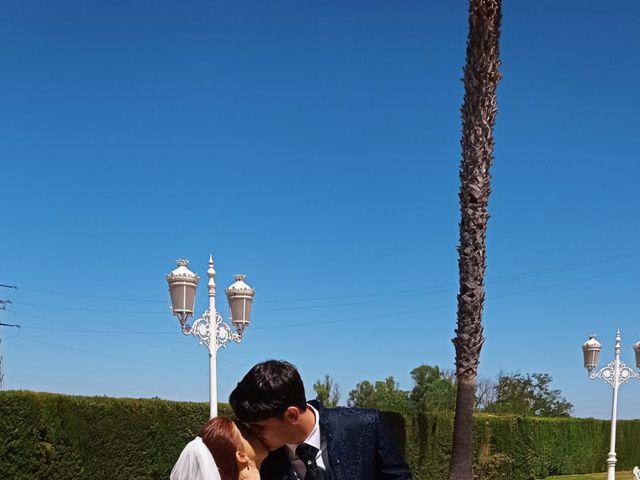 La boda de Álvaro y Marta en Palma Del Rio, Córdoba 5