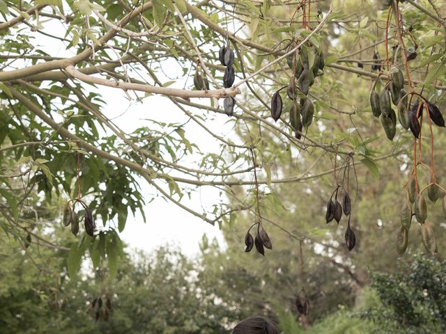 La boda de Monica y Pablo en Elx/elche, Alicante 42