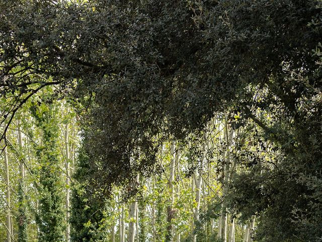 La boda de Edu y Estela en Sant Antoni De Vilamajor, Barcelona 17