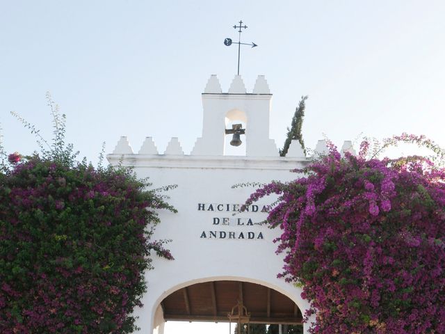 La boda de Jesús y Alicia en Alcala De Guadaira, Sevilla 15