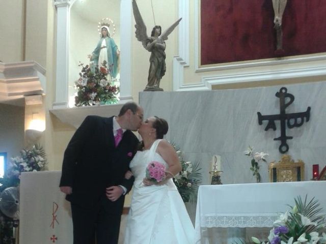 La boda de Sarai y Juanfran en San Pedro Alcantara, Málaga 13
