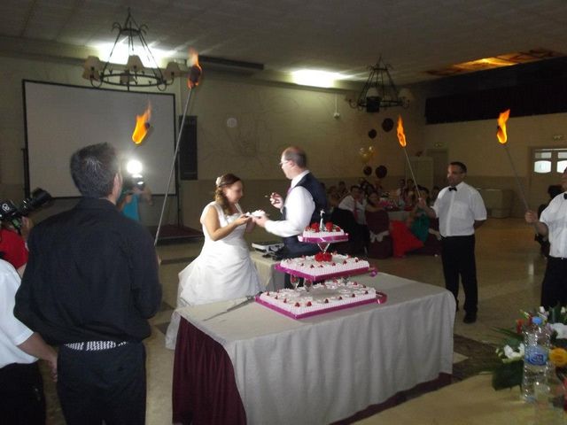La boda de Sarai y Juanfran en San Pedro Alcantara, Málaga 15