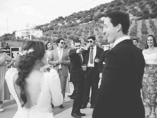 La boda de Alicia y David en Villafranca De Los Barros, Badajoz 42
