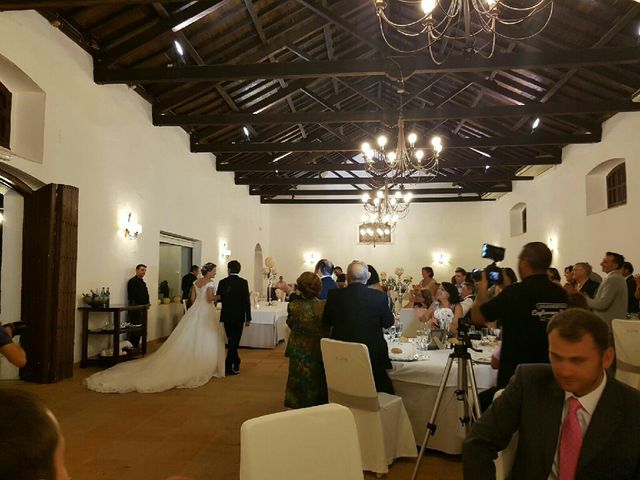 La boda de Iván  y Bárbara  en Bormujos, Sevilla 5