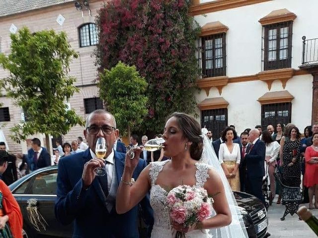 La boda de Jose y Victoria en Ecija, Sevilla 5