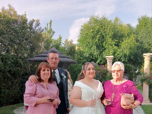 La boda de Alex  y Susana en Alcalá De Henares, Madrid 8