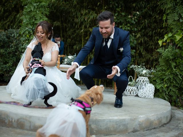 La boda de Dani y Paola en Sant Fost De Campsentelles, Barcelona 10