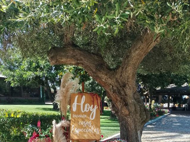 La boda de Francisco  y Paola en Sanlucar De Barrameda, Cádiz 3