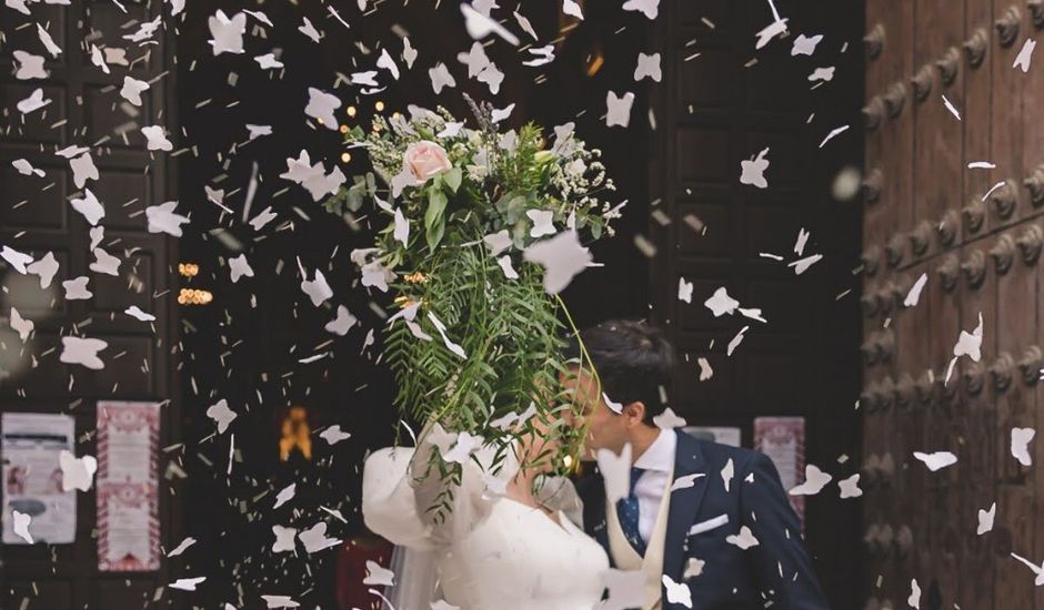 La boda de Luis y Lydia en Jerez De La Frontera, Cádiz