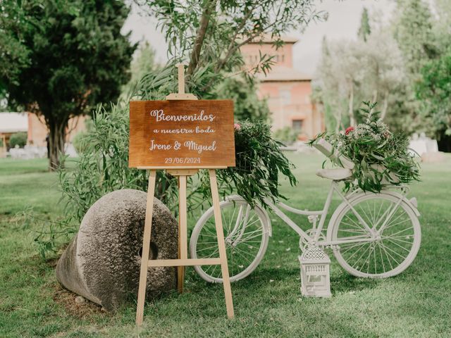 La boda de Irene y Miguel en Alcalá De Henares, Madrid 10