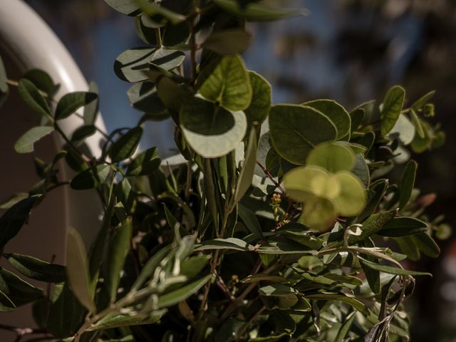 La boda de Cameron y Rocío en Sevilla, Sevilla 9