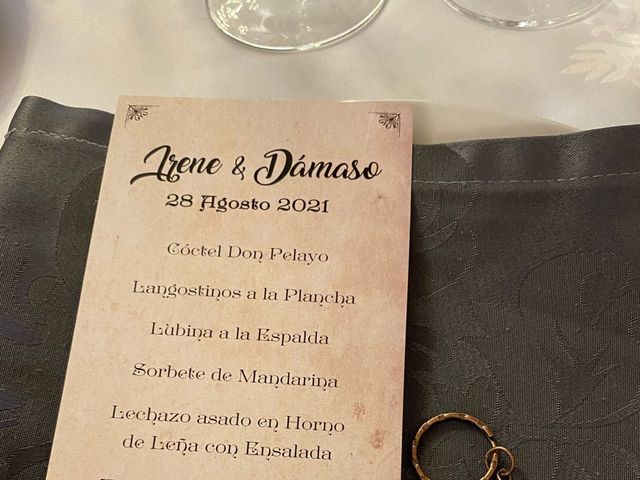 La boda de Dámaso  y Irene  en Valladolid, Valladolid 13