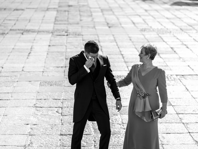 La boda de Diego y Sara en Palacio De Saldañuela, Burgos 17