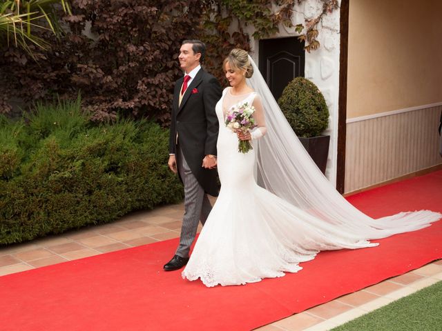 La boda de Luis y Olga en Andujar, Jaén 21