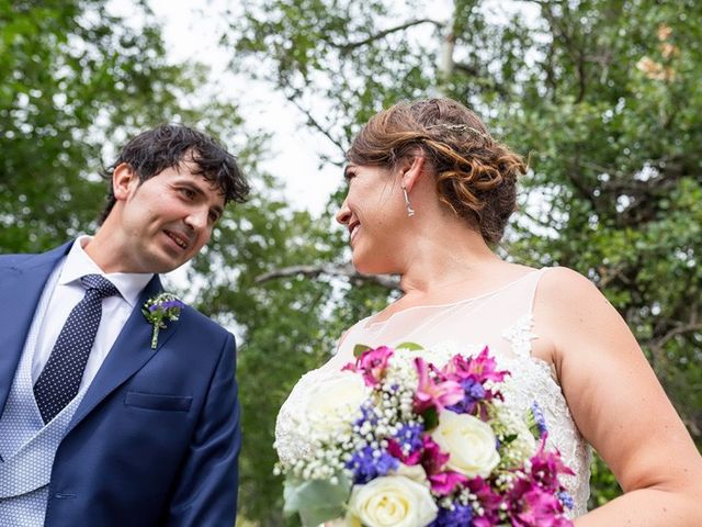 La boda de Ricardo y Yolanda en Navacepedilla De Corneja, Ávila 8