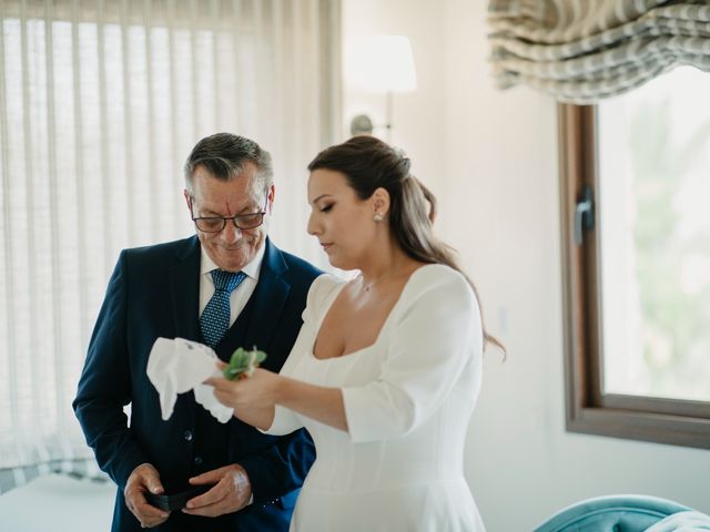 La boda de Armando  y Nieves en Aspe, Alicante 15