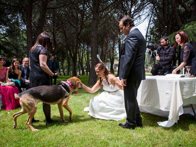 La boda de Roberto y Esther en Valdemorillo, Madrid 217