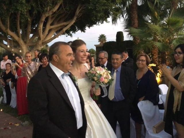 La boda de David y Amanda en Elx/elche, Alicante 1