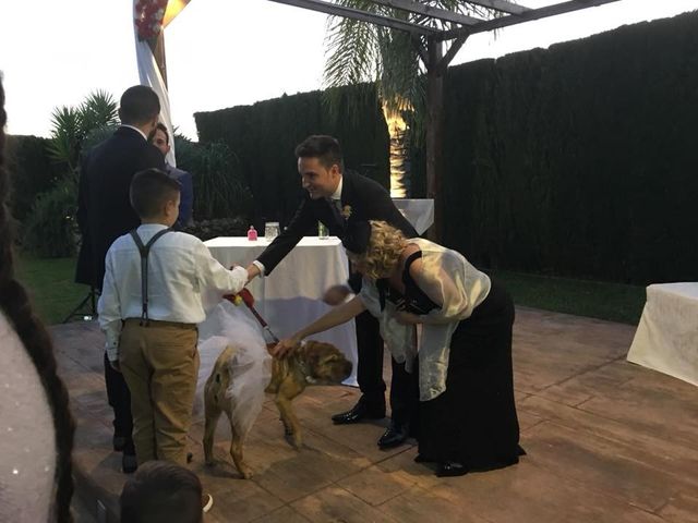La boda de David y Amanda en Elx/elche, Alicante 13