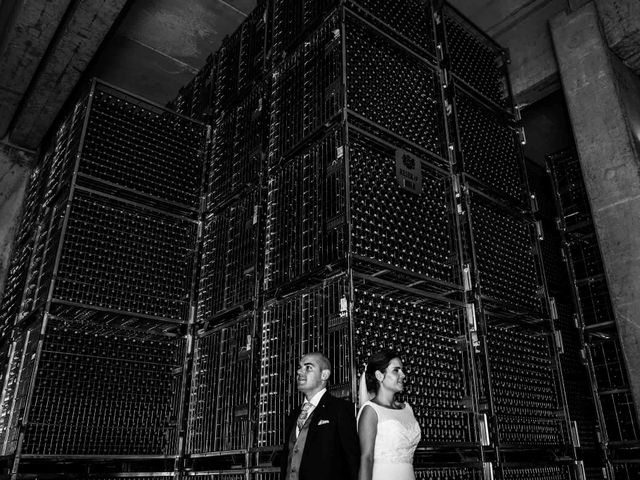 La boda de Guzman y Elsa en Elciego, Álava 72