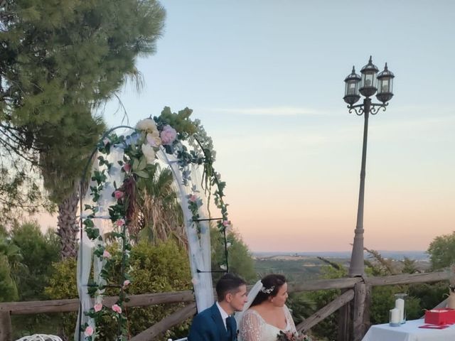 La boda de Raul y Rocio en Cantillana, Sevilla 11