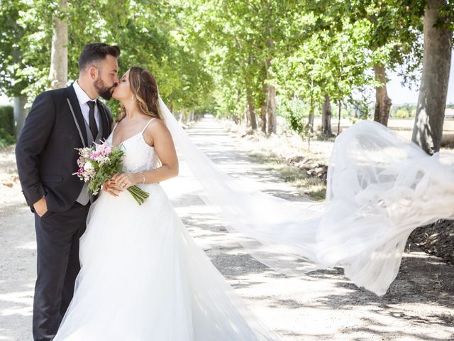 La boda de Luismi y Raquel en Aranjuez, Madrid 11