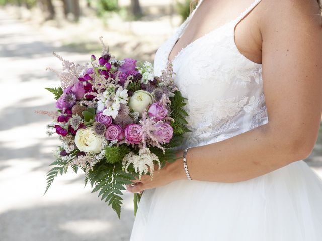 La boda de Luismi y Raquel en Aranjuez, Madrid 13