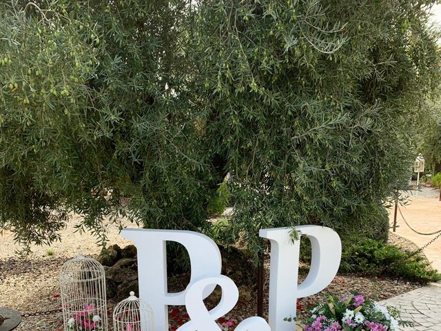 La boda de Pedro y Priscila en Pedro Muñoz, Cáceres 7