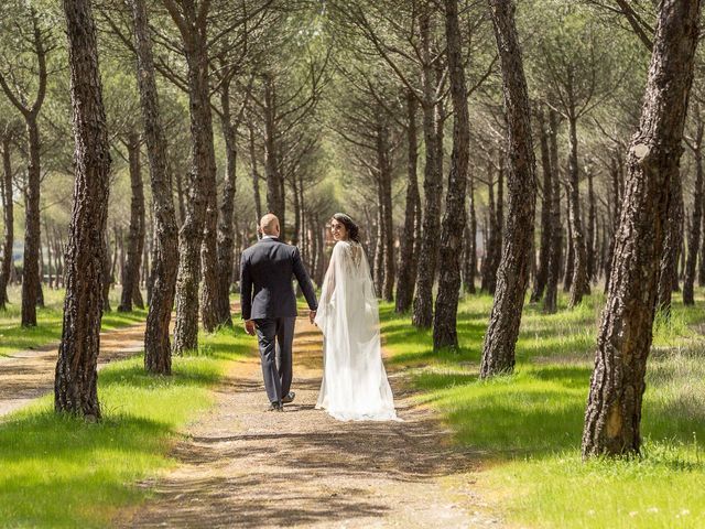 La boda de David y Ana en Valdetorres De Jarama, Madrid 2