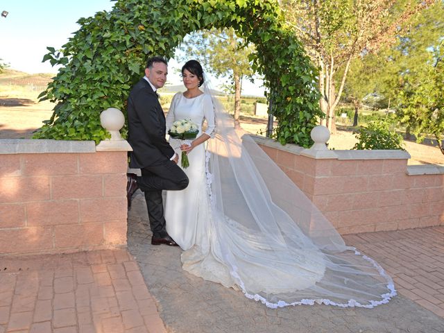 La boda de Mª Jesus y Javier en Torrenueva, Ciudad Real 14