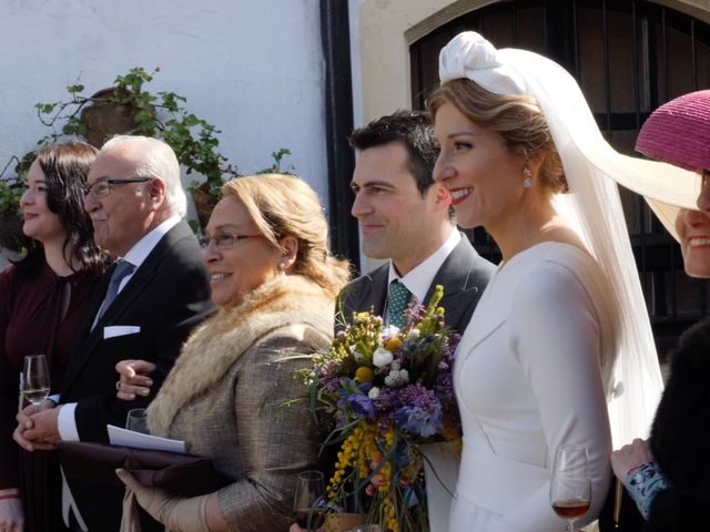 La boda de Jesús García Paz y Beatriz en Jerez De La Frontera, Cádiz 8