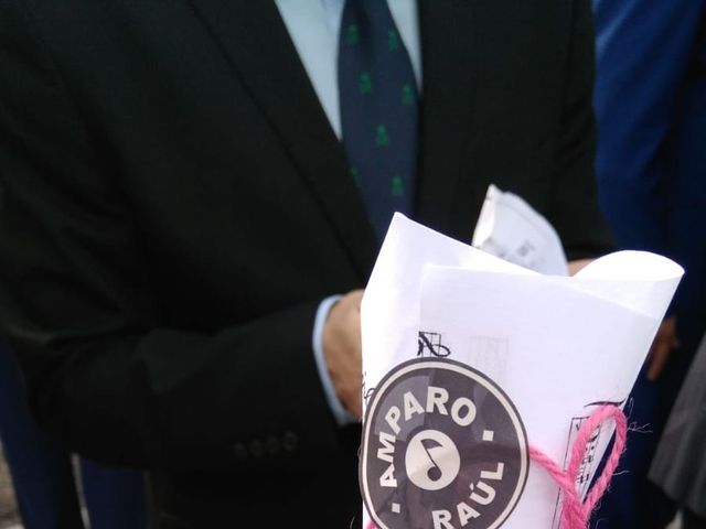 La boda de Raúl y Amparo en Barco De Avila, Ávila 29