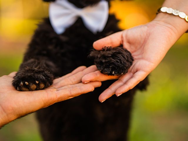 La boda de Marta y Salva en Santomera, Murcia 12