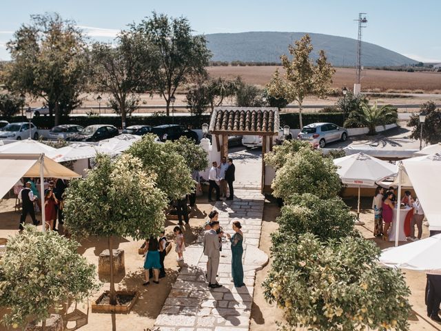 La boda de Gabri y Cari en Alameda, Ciudad Real 45