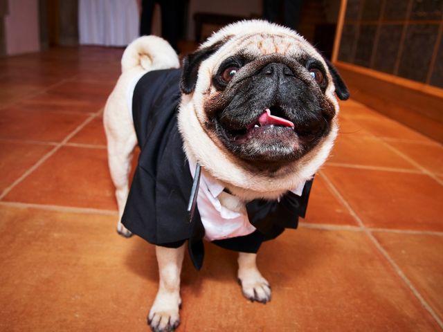 La boda de Victor y Carmen en Arenys De Munt, Barcelona 6