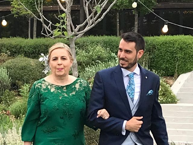 La boda de Alberto y Carolina en Alcalá De Henares, Madrid 7