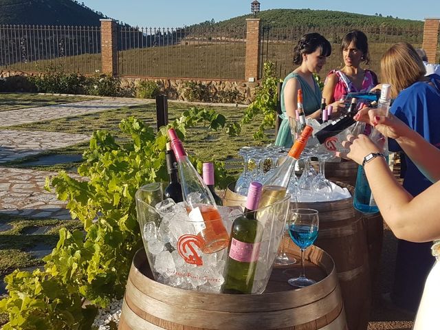 La boda de Javi y Estela en Alia, Cáceres 3