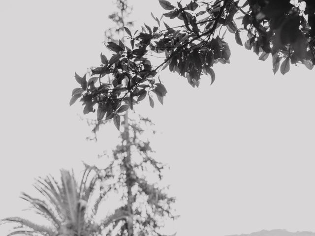 La boda de Joaquin y Alba en Jarandilla, Cáceres 17