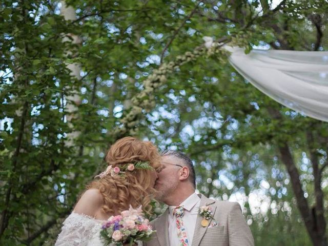 La boda de Pedro y Denica en Villacorta, Segovia 3