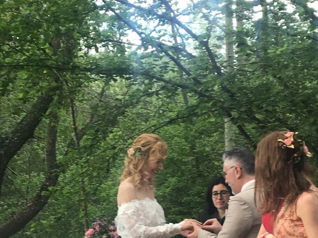 La boda de Pedro y Denica en Villacorta, Segovia 9