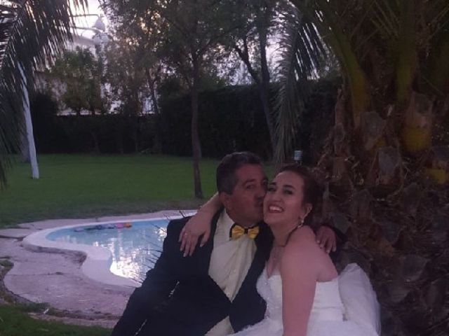 La boda de Luis Fernando y Soledad  en Móstoles, Madrid 8