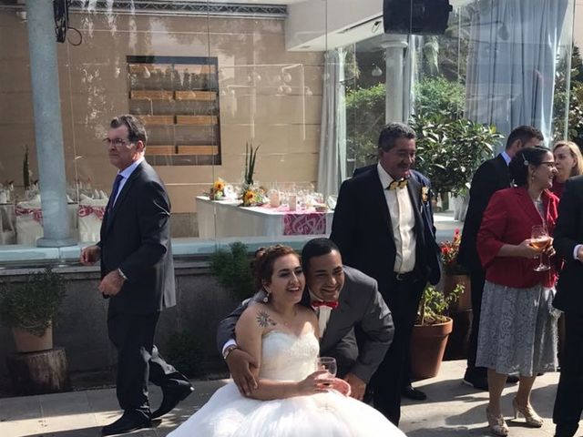 La boda de Luis Fernando y Soledad  en Móstoles, Madrid 13
