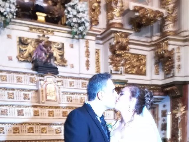 La boda de Luis Fernando y Soledad  en Móstoles, Madrid 19