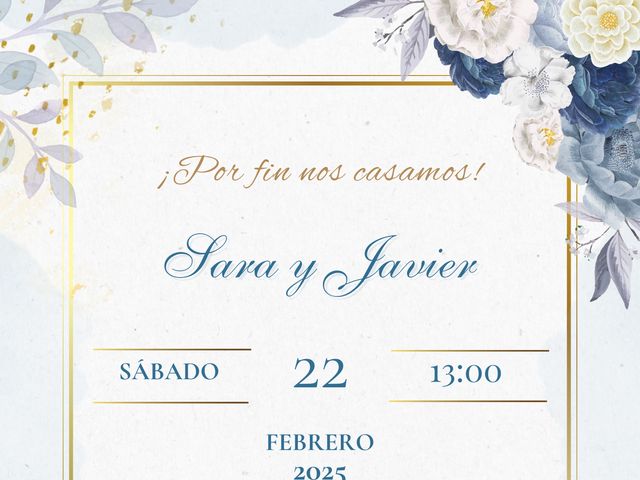 La boda de Javier y Sara en Aranjuez, Madrid 16