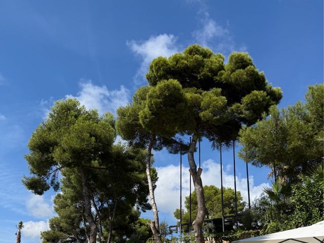 La boda de Marta y Sergio en Lloret De Mar, Girona 20