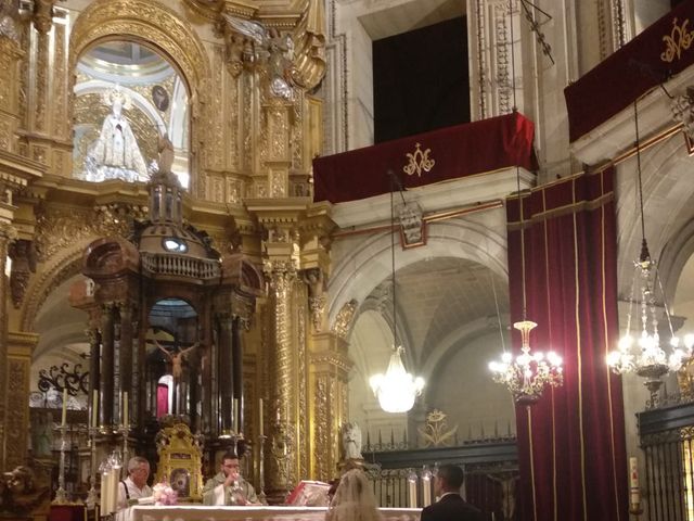 La boda de Juan Carlos  y Trini en Elx/elche, Alicante 11
