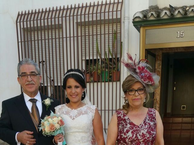 La boda de David y Lidia en Mérida, Badajoz 6