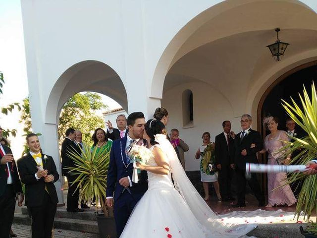 La boda de David y Lidia en Mérida, Badajoz 12