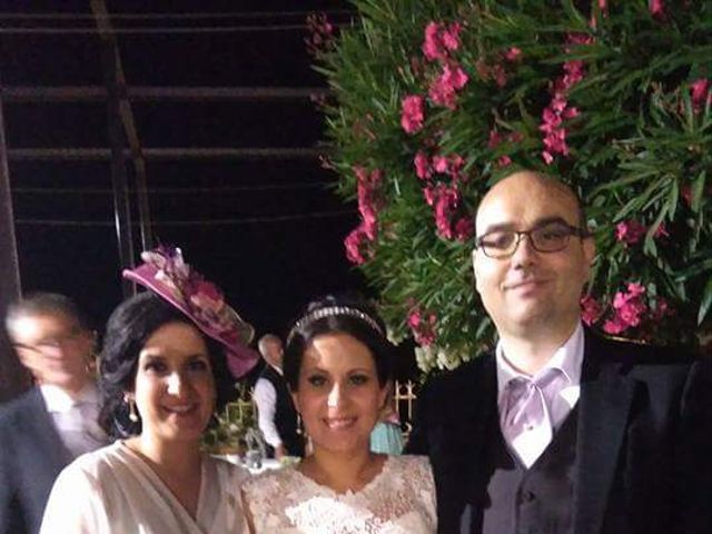 La boda de David y Lidia en Mérida, Badajoz 14