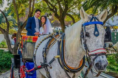 La boda de Isaac y Valentina en Mijas, Málaga 4